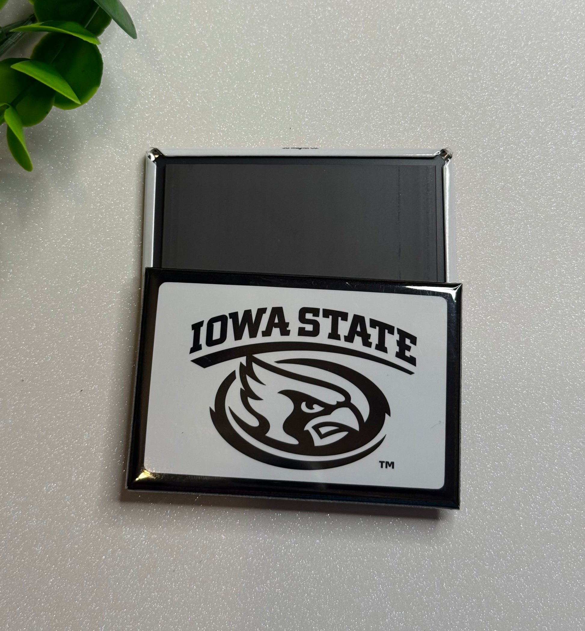 Iowa State University Magnet - BW Mascot