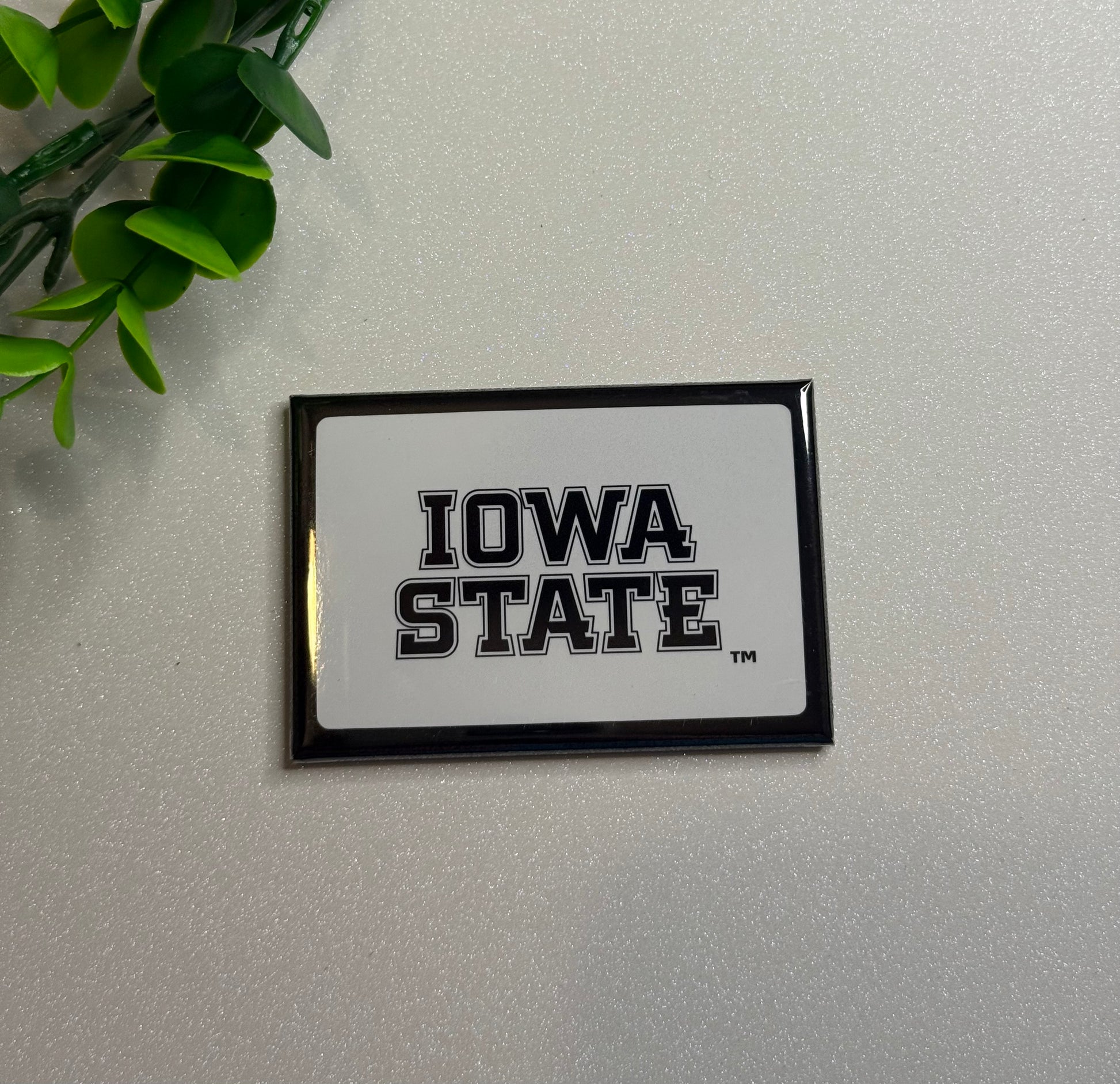 Iowa State University Magnet - BW Text Logo