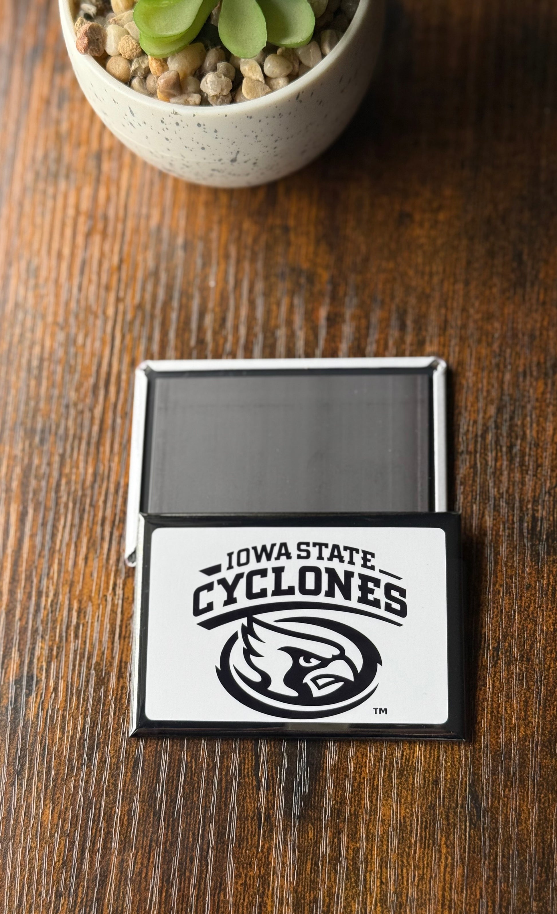 Iowa State University Magnet - BW Text Logo Mascot